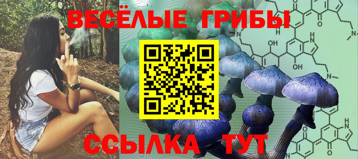 Галлюциногенные грибы ЛСД Кызыл